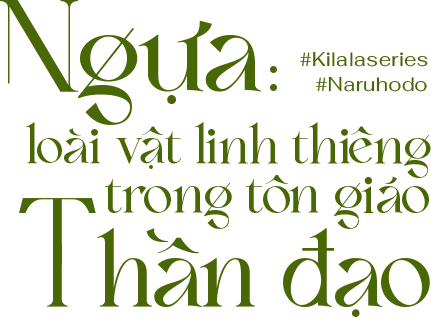 Ngựa loài vật linh thiêng trong tôn giáo thần đạo